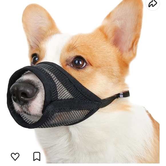 Dog Muzzle - Picture 1 of 8